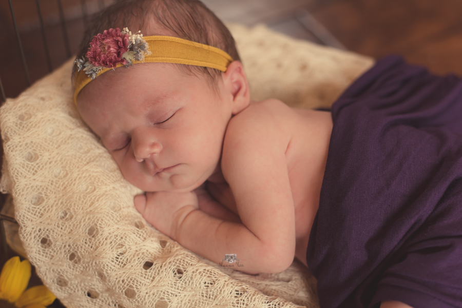 Newborn Photography in St. Louis Studio purple wrap