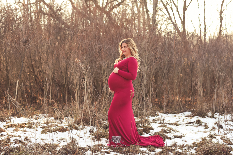 Elegant Maternity Photography in Alma, MI