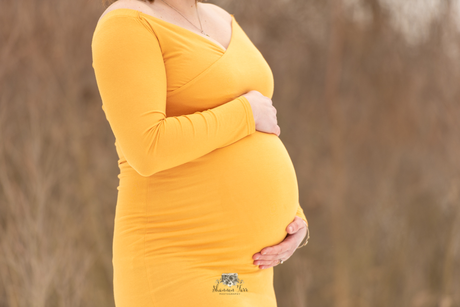 Breathtaking Maternity Photography in St. Louis, MI