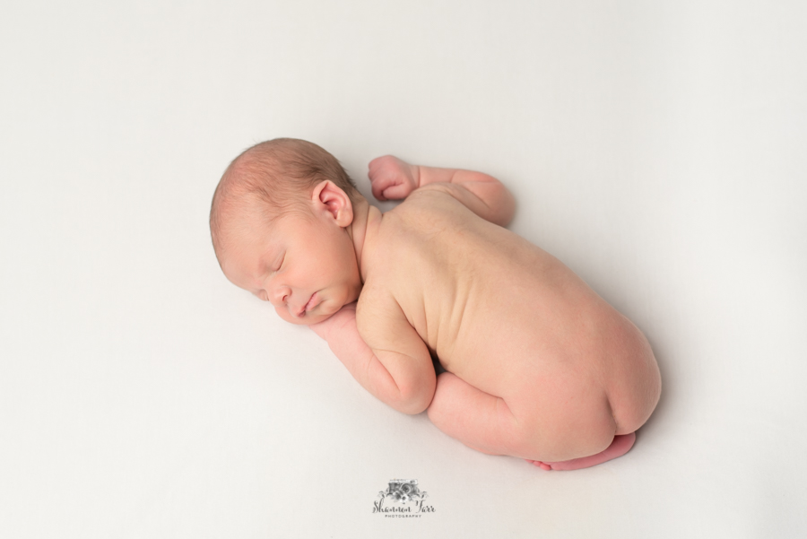 Newborn Photography in St. Louis studio portrait