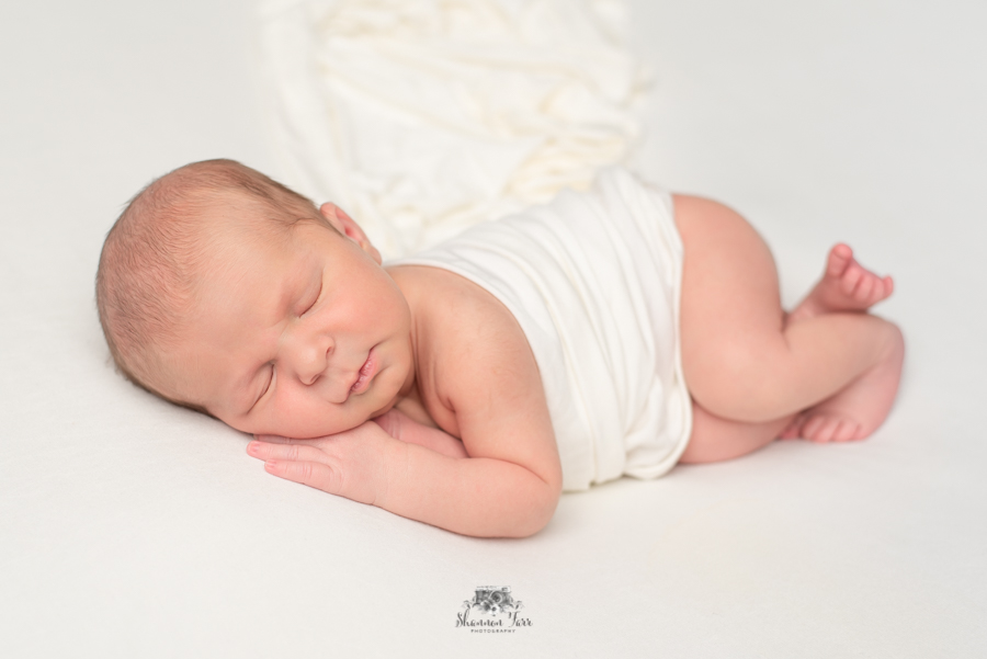 Newborn Photography in St. Louis studio portrait